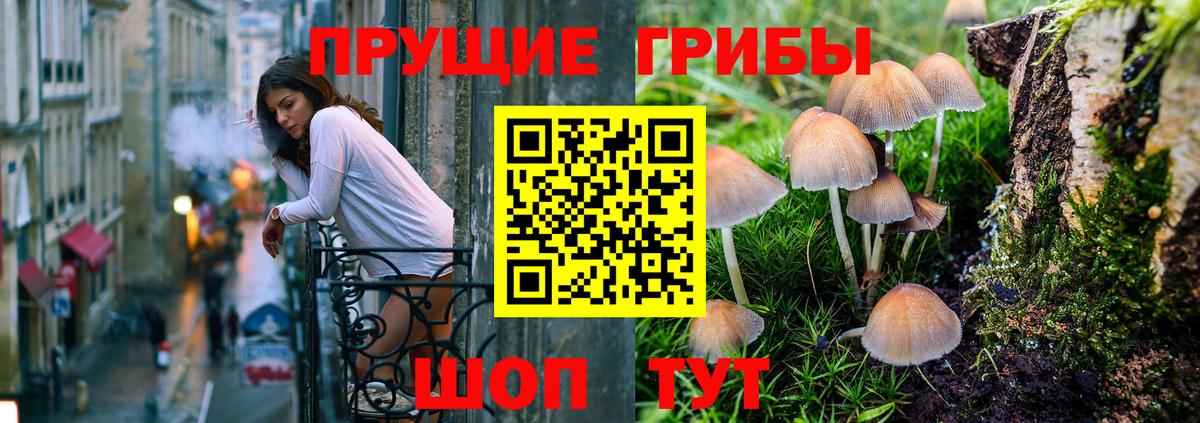 Псилоцибиновые грибы Psilocybe  Вход с VPN  продажа наркотиков  Реутов 